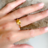 Anillo Solaris oro