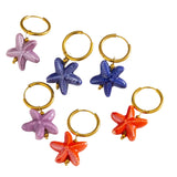 Aros Estrella de Mar Cerámica colores