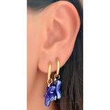Aros Estrella de Mar Cerámica colores