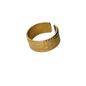 Anillo Regulus oro