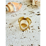 Anillo Concha Transparente oro